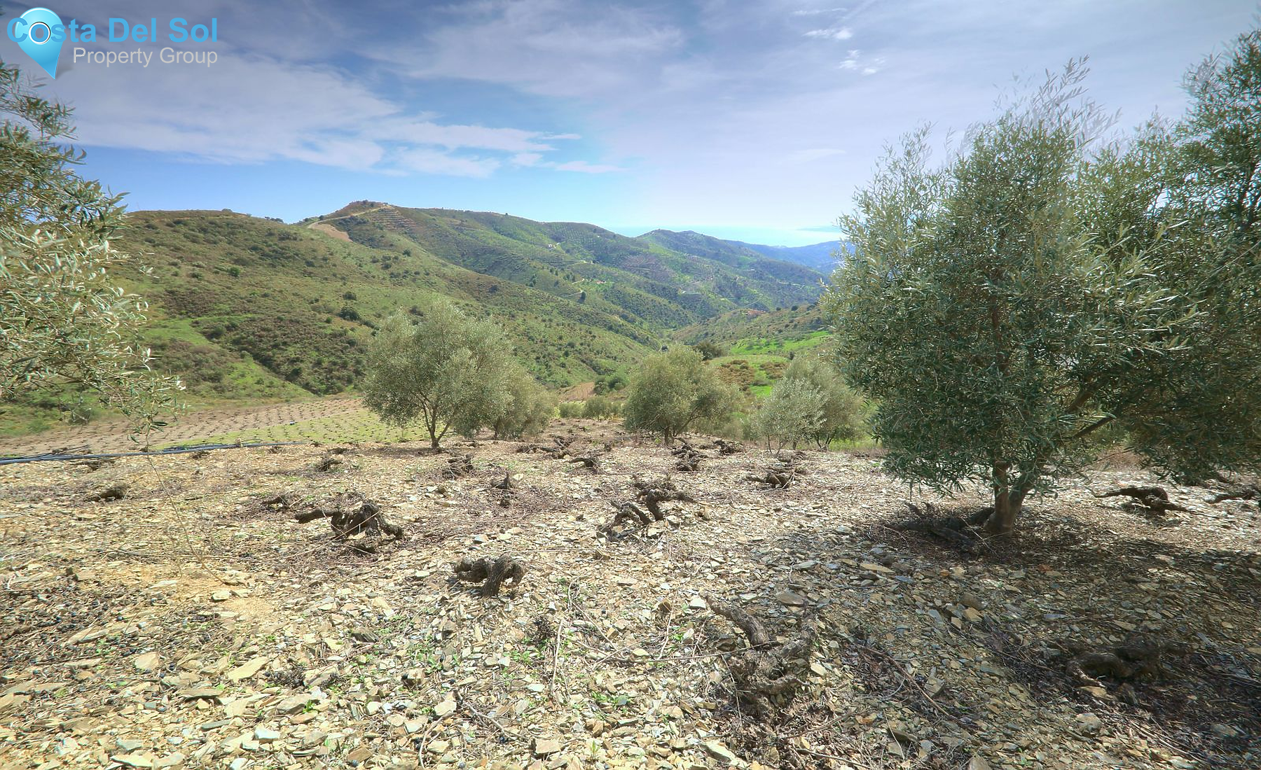 Land in Moclinejo-1392486