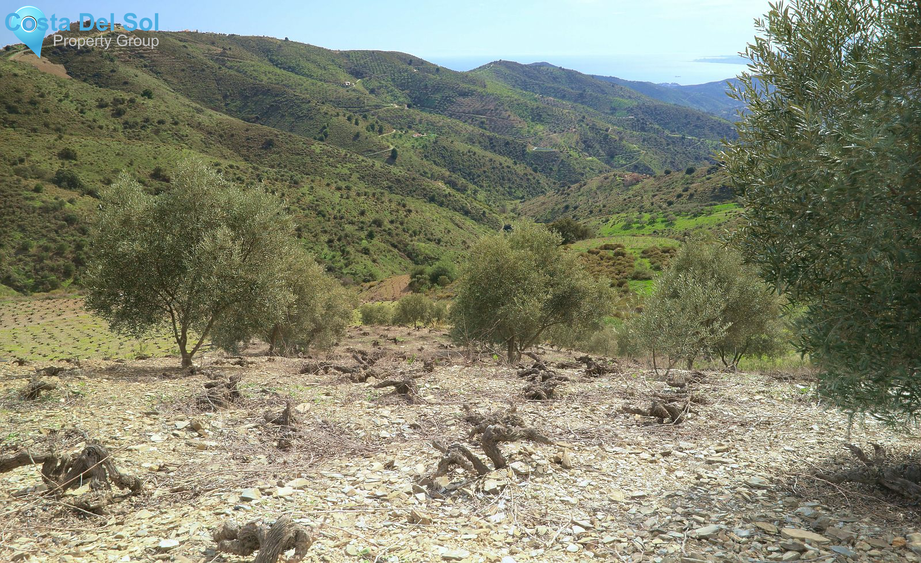Land in Moclinejo-1392487