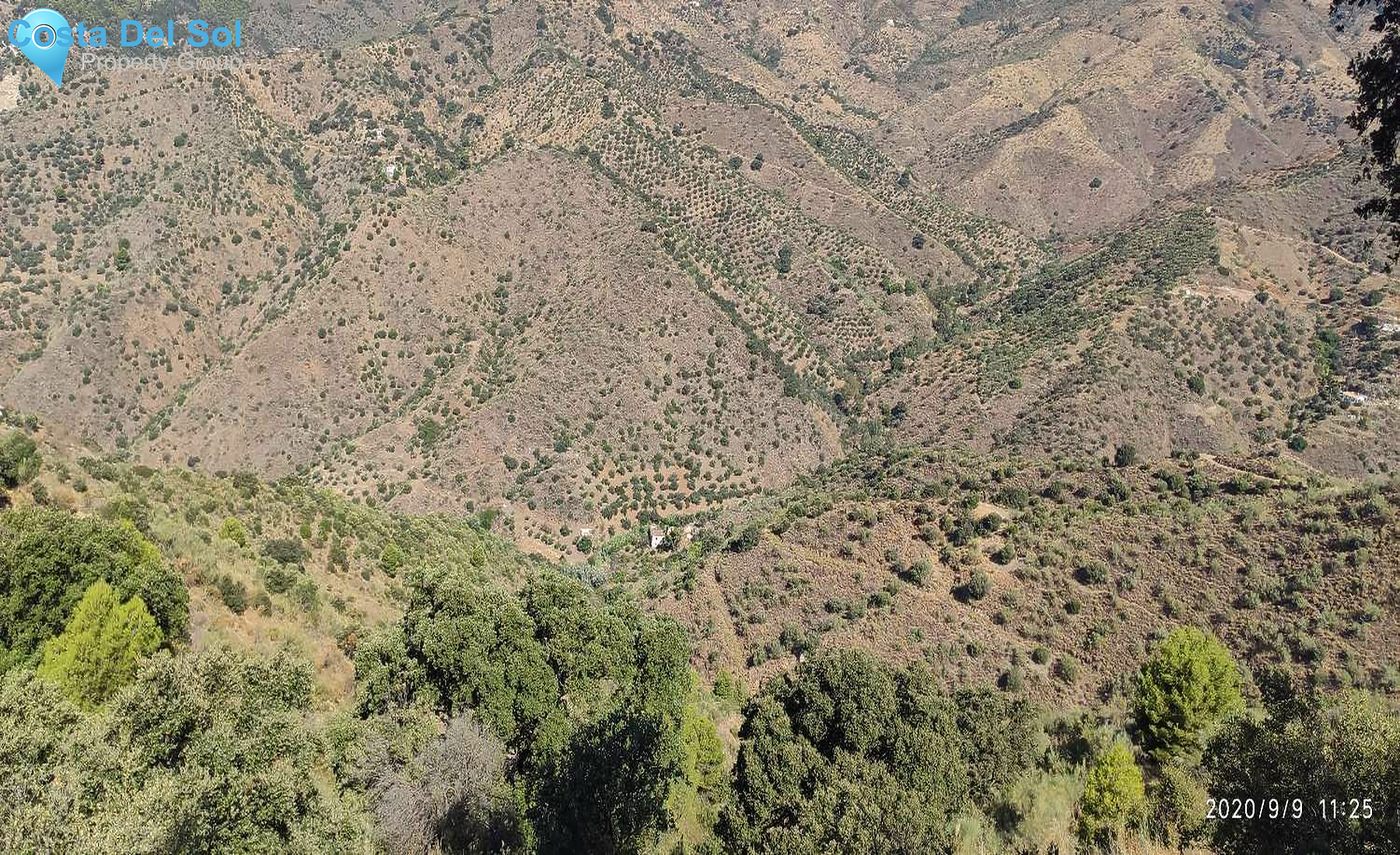 Land in Monda-1225046