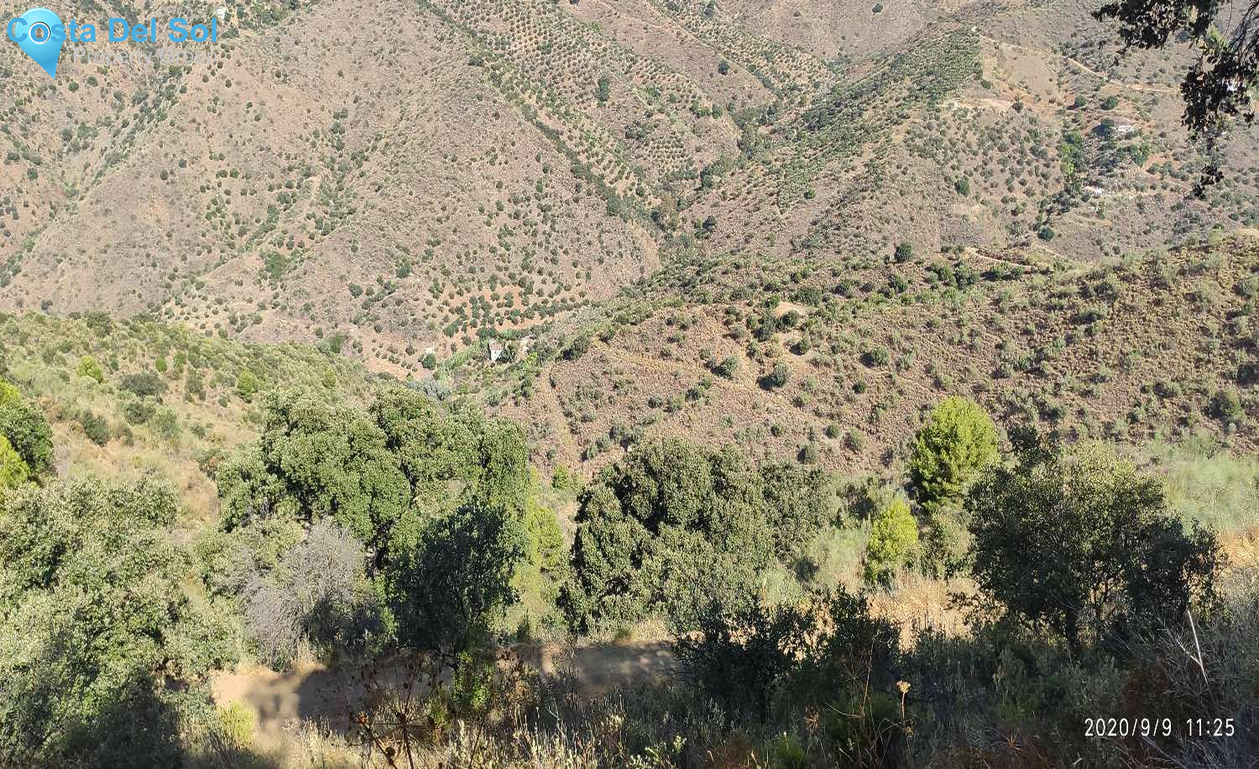 Land in Monda-1225047