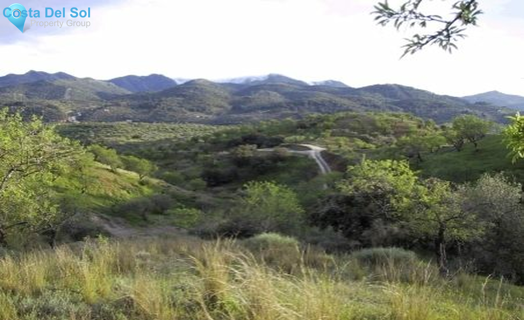 Land in Monda-1553854