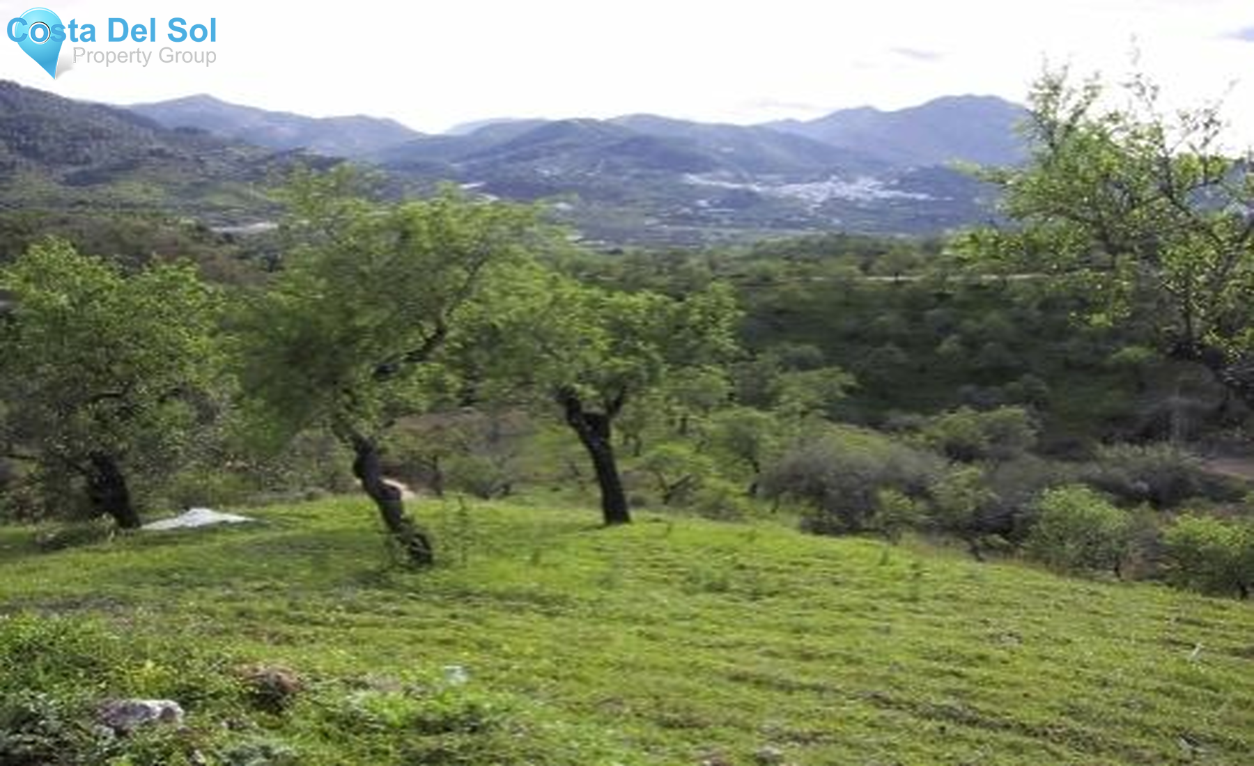 Land in Monda-1553855
