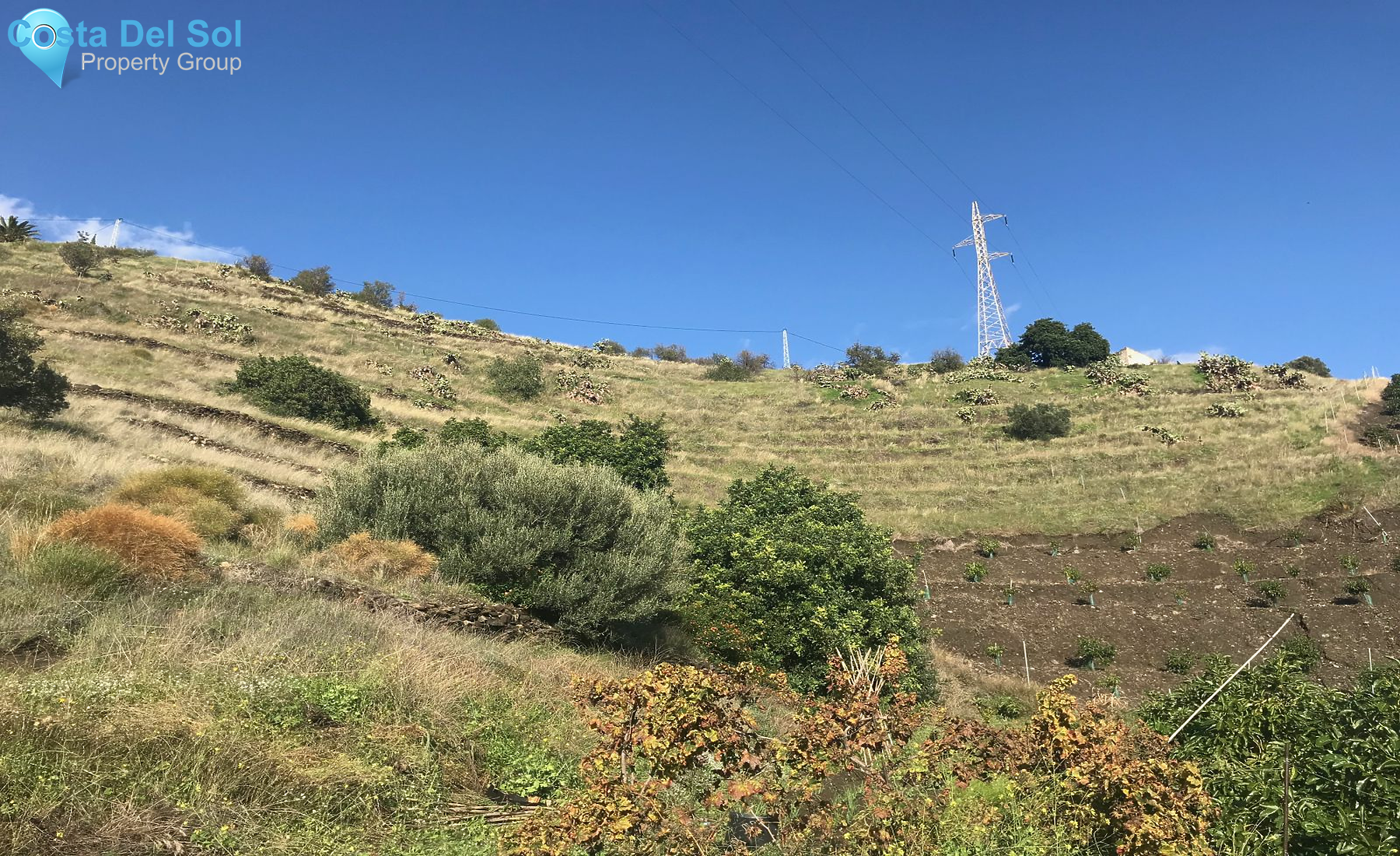 Land in Nerja-1486826