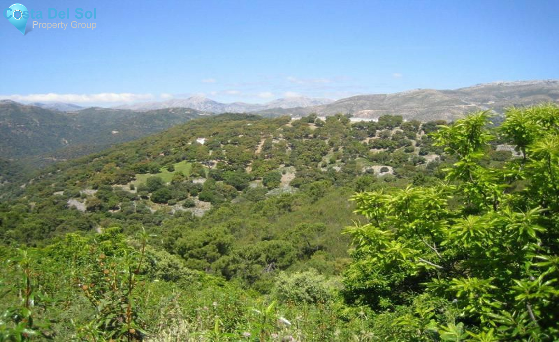 Land in Ronda-1475295