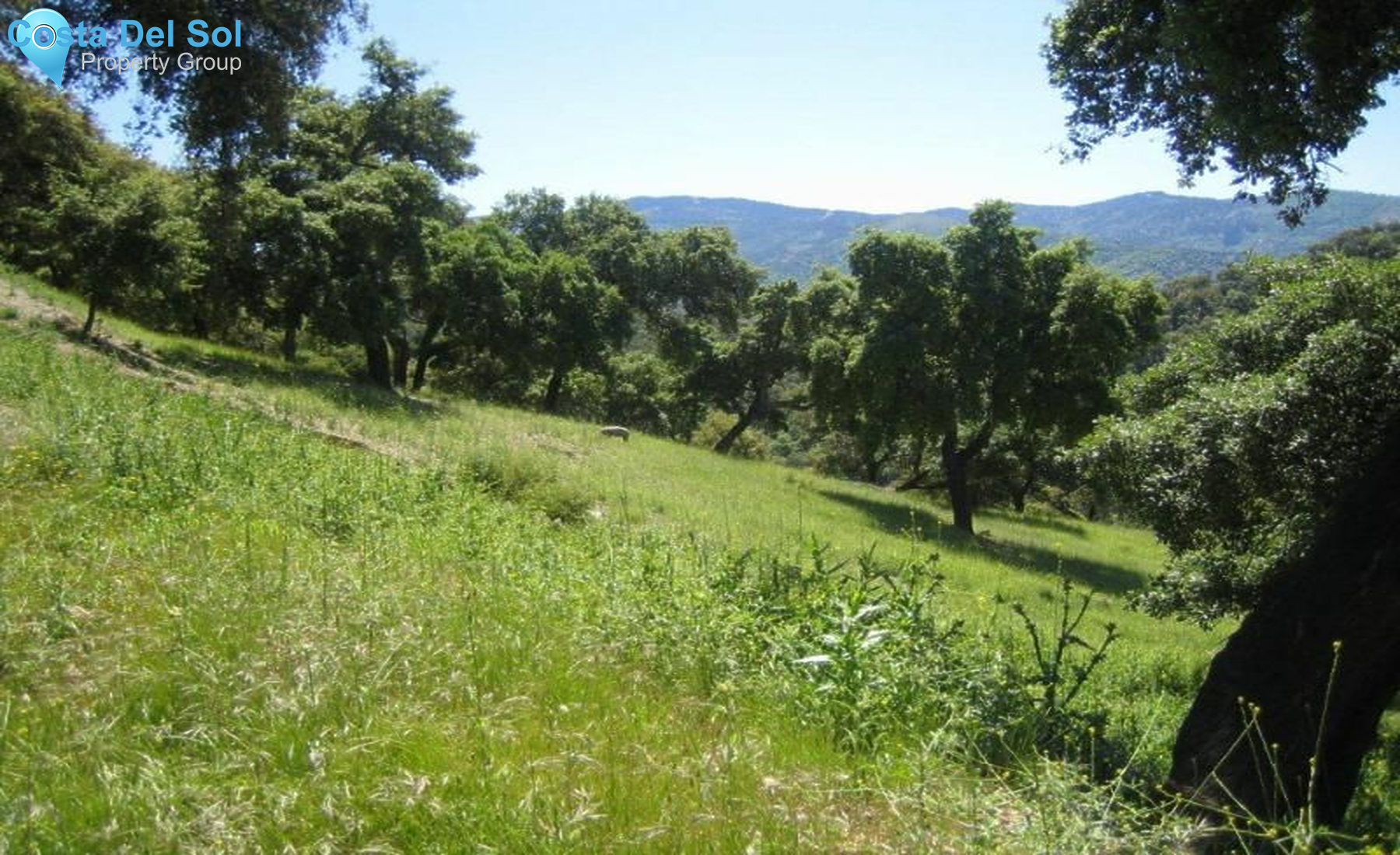 Land in Ronda-1475296
