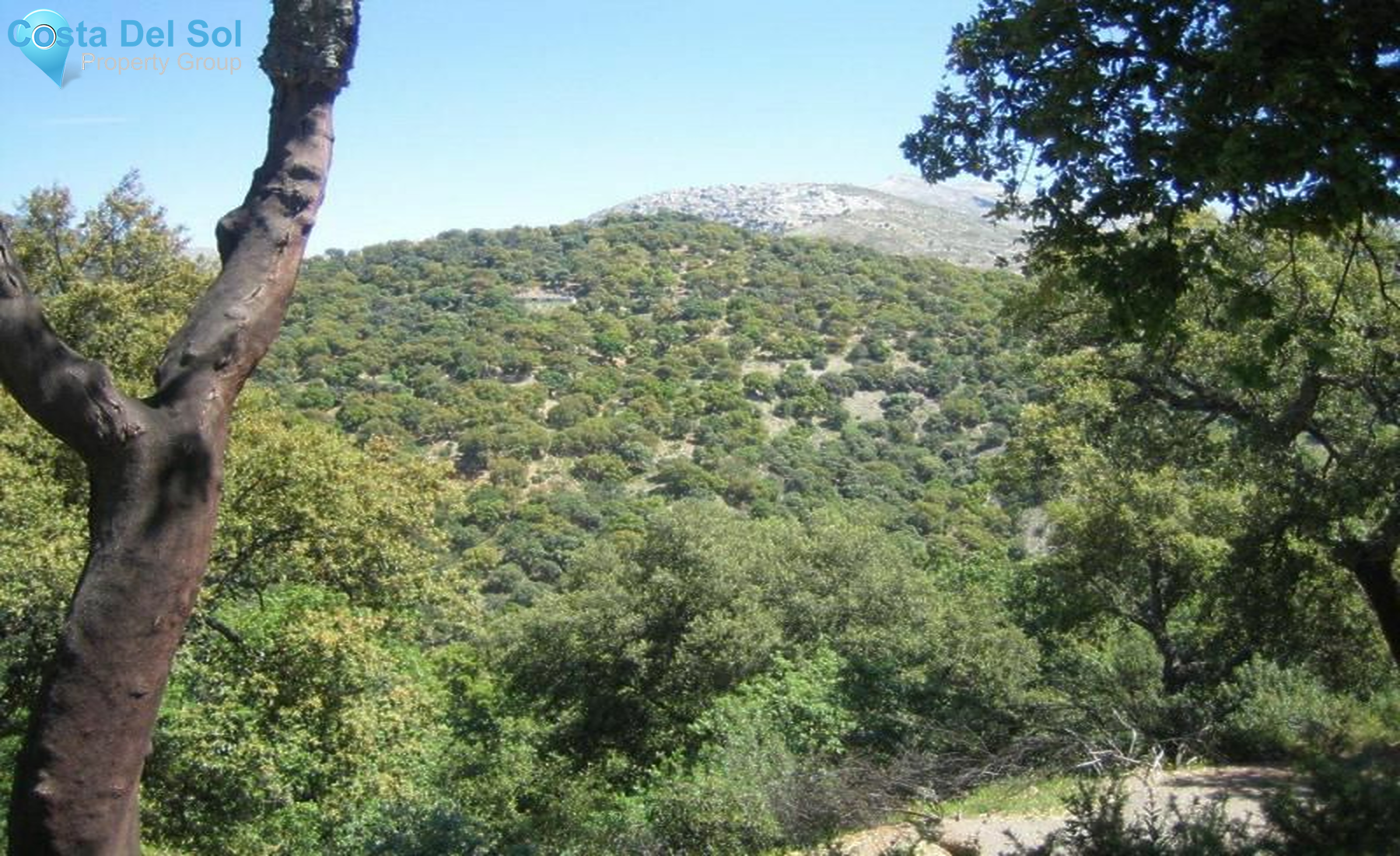 Land in Ronda-1475281