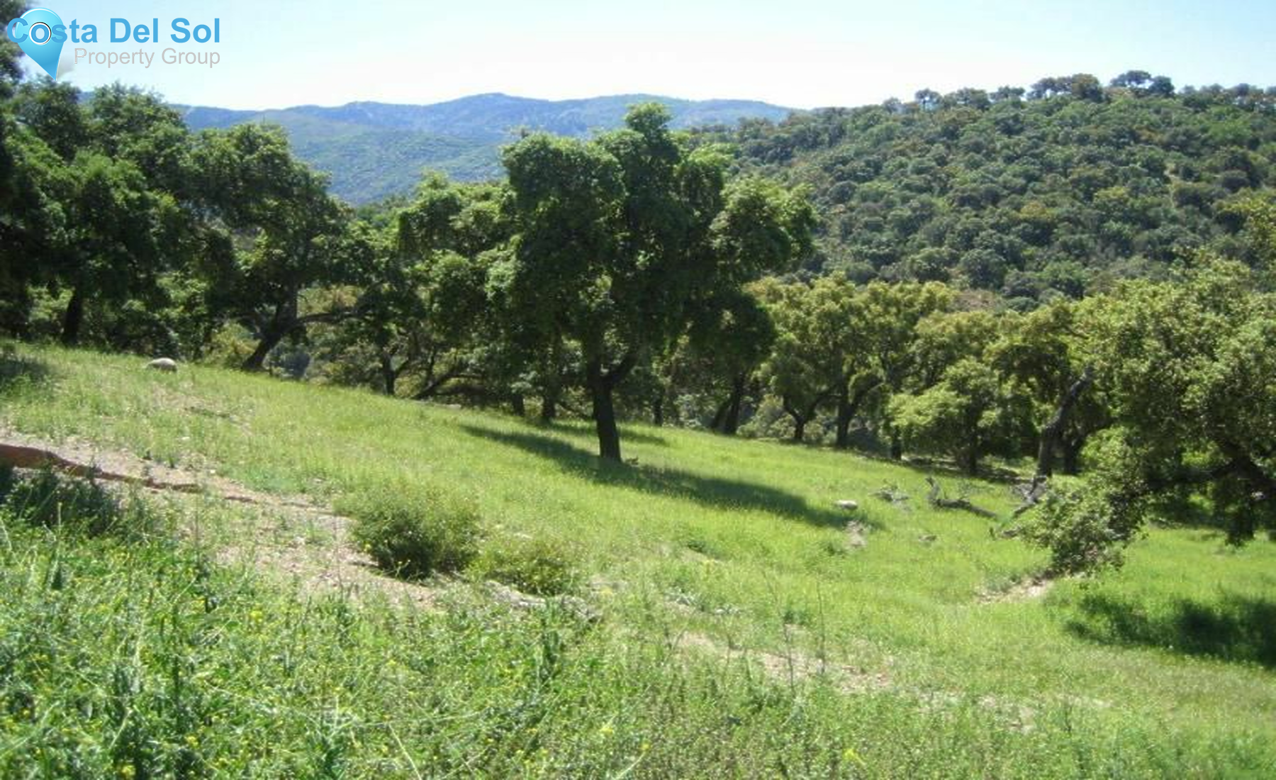 Land in Ronda-1475283