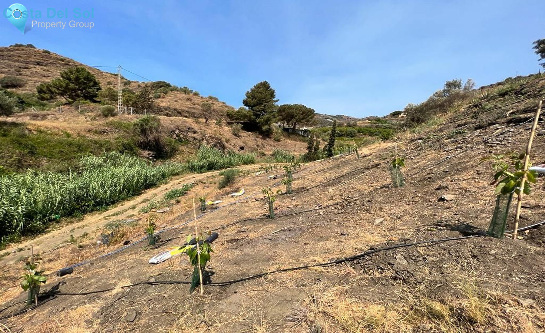 Land in Torrox-1169048