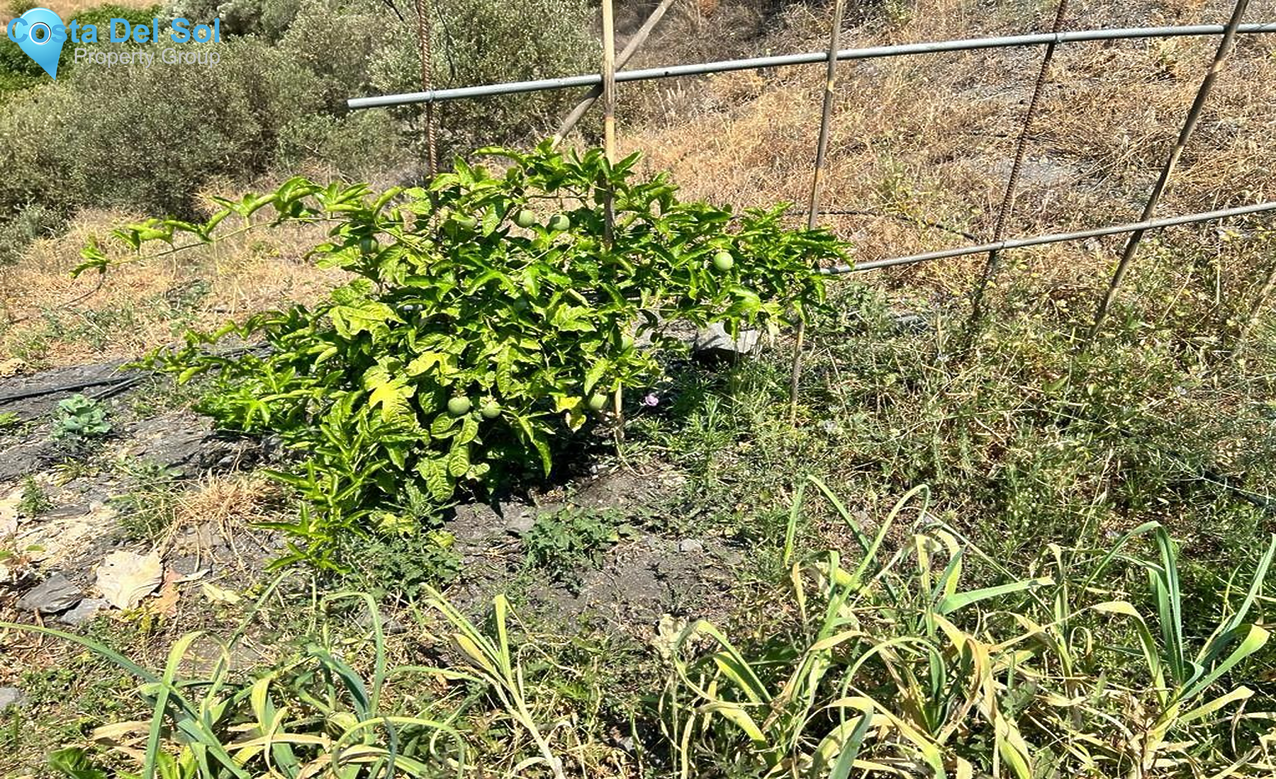 Land in Torrox-1169067