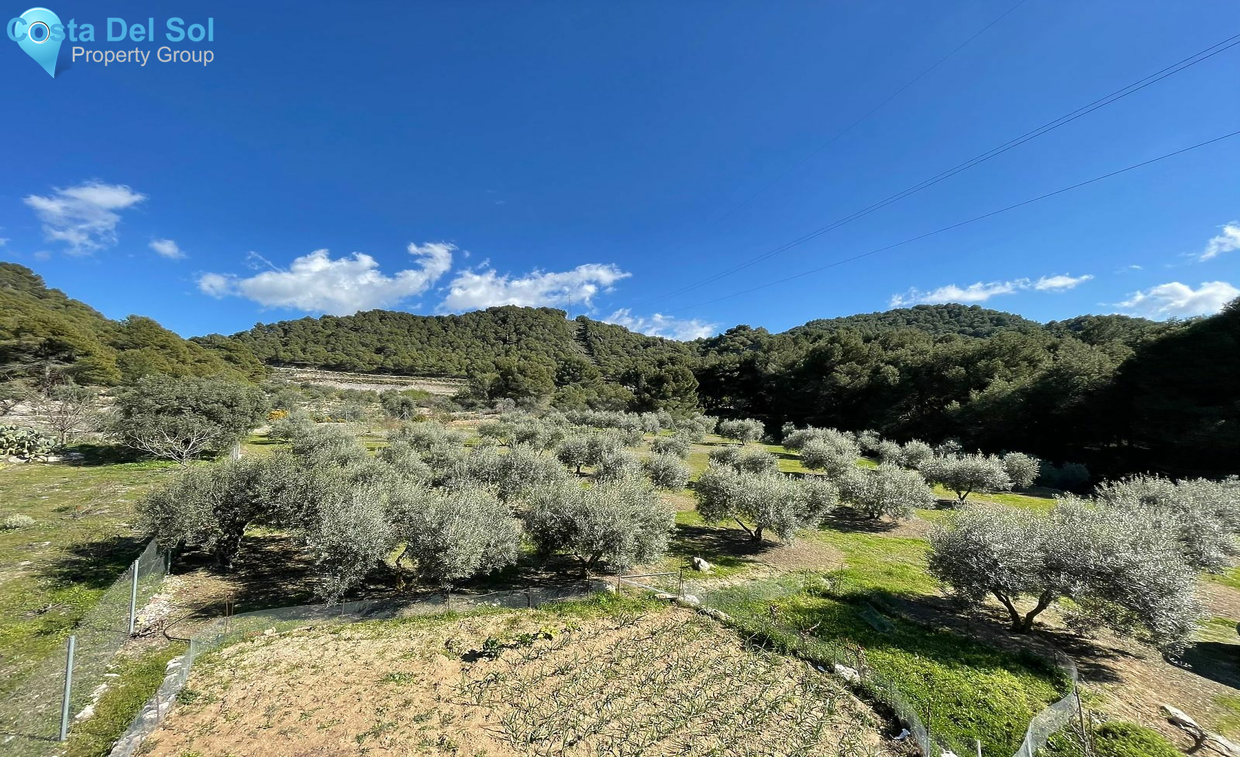 Land in Yunquera-1552056