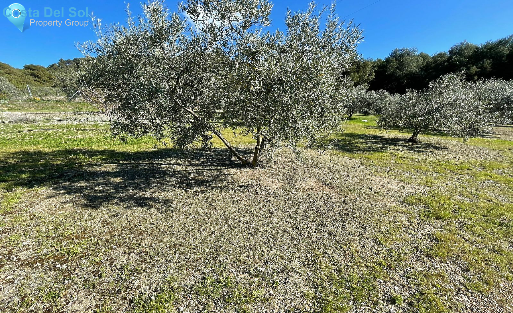 Land in Yunquera-1552068