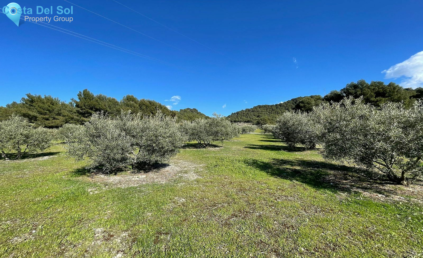 Land in Yunquera-1552060