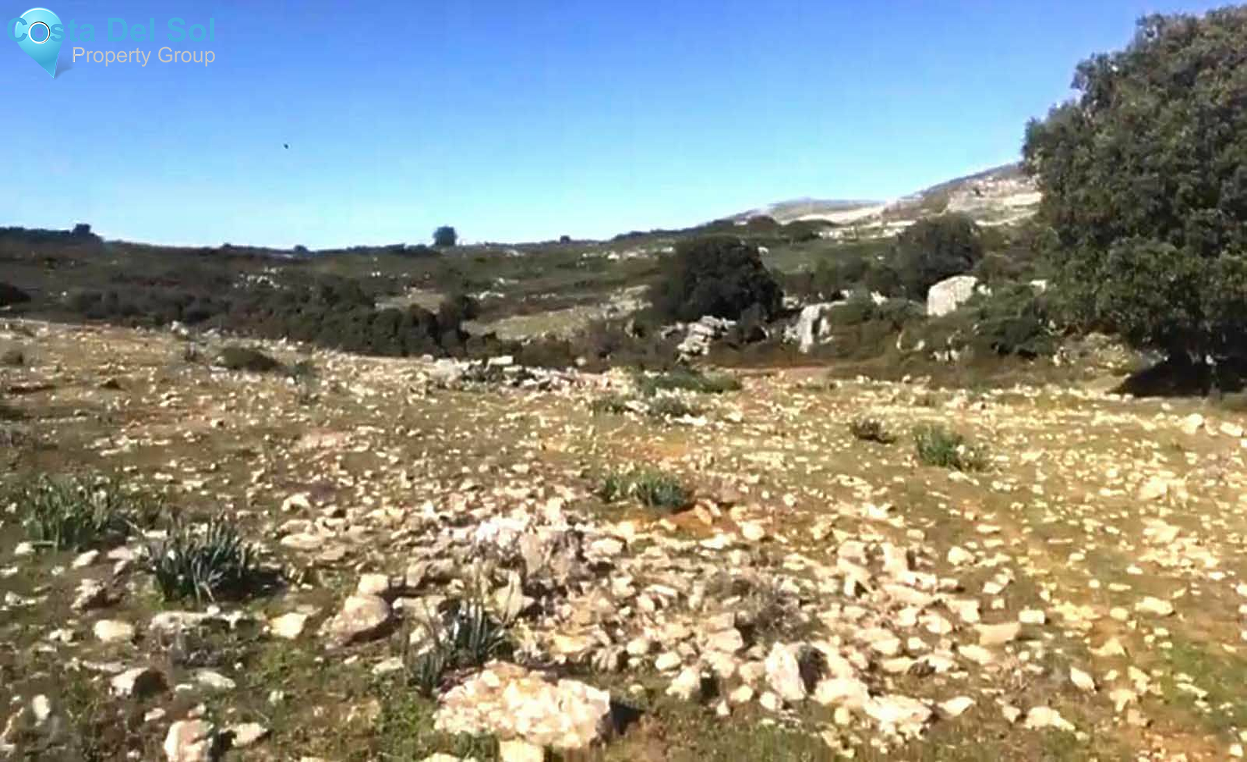 Land with Ruin in Ronda-1490935