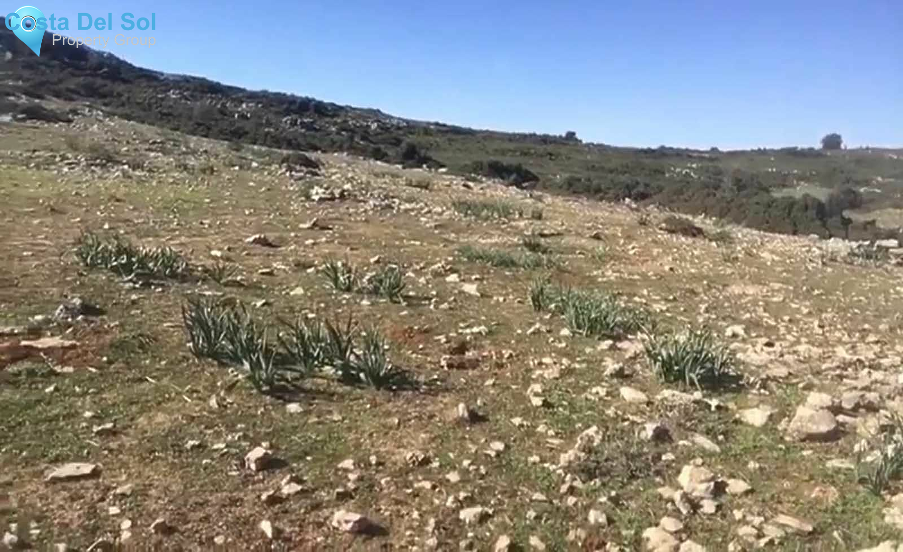 Land with Ruin in Ronda-1490937