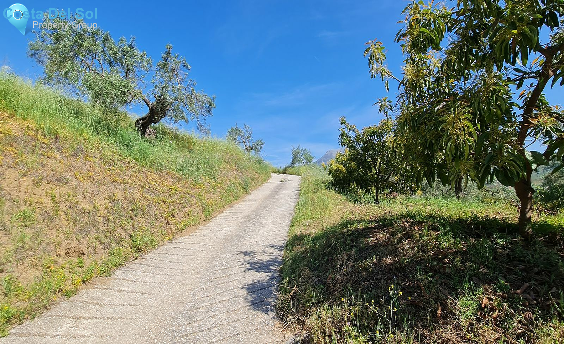 Land with Ruin in Tolox-1163156
