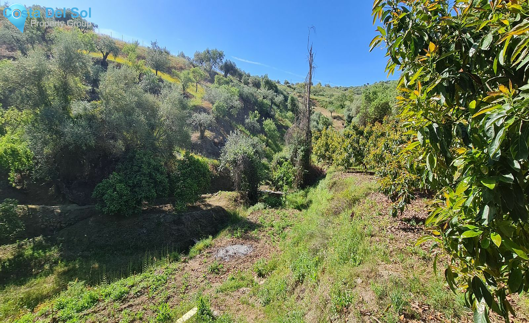 Land with Ruin in Tolox-1163159