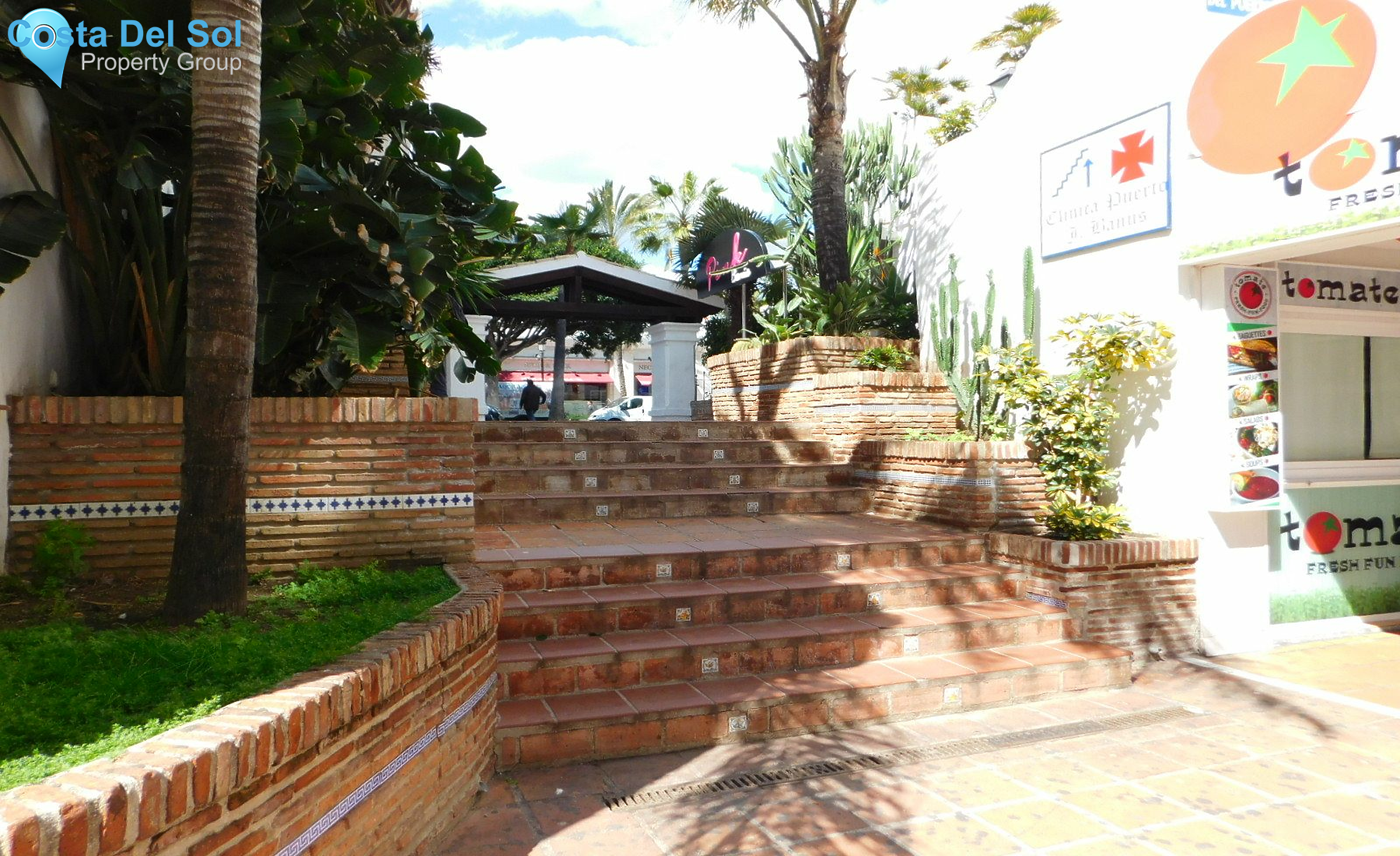 Night Club in Puerto Banús