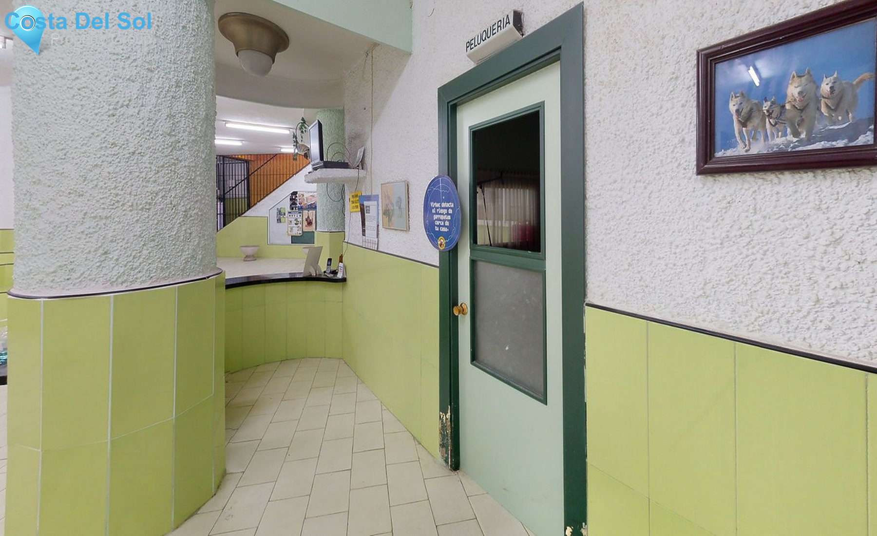 Night Club in Torremolinos Centro-1459444