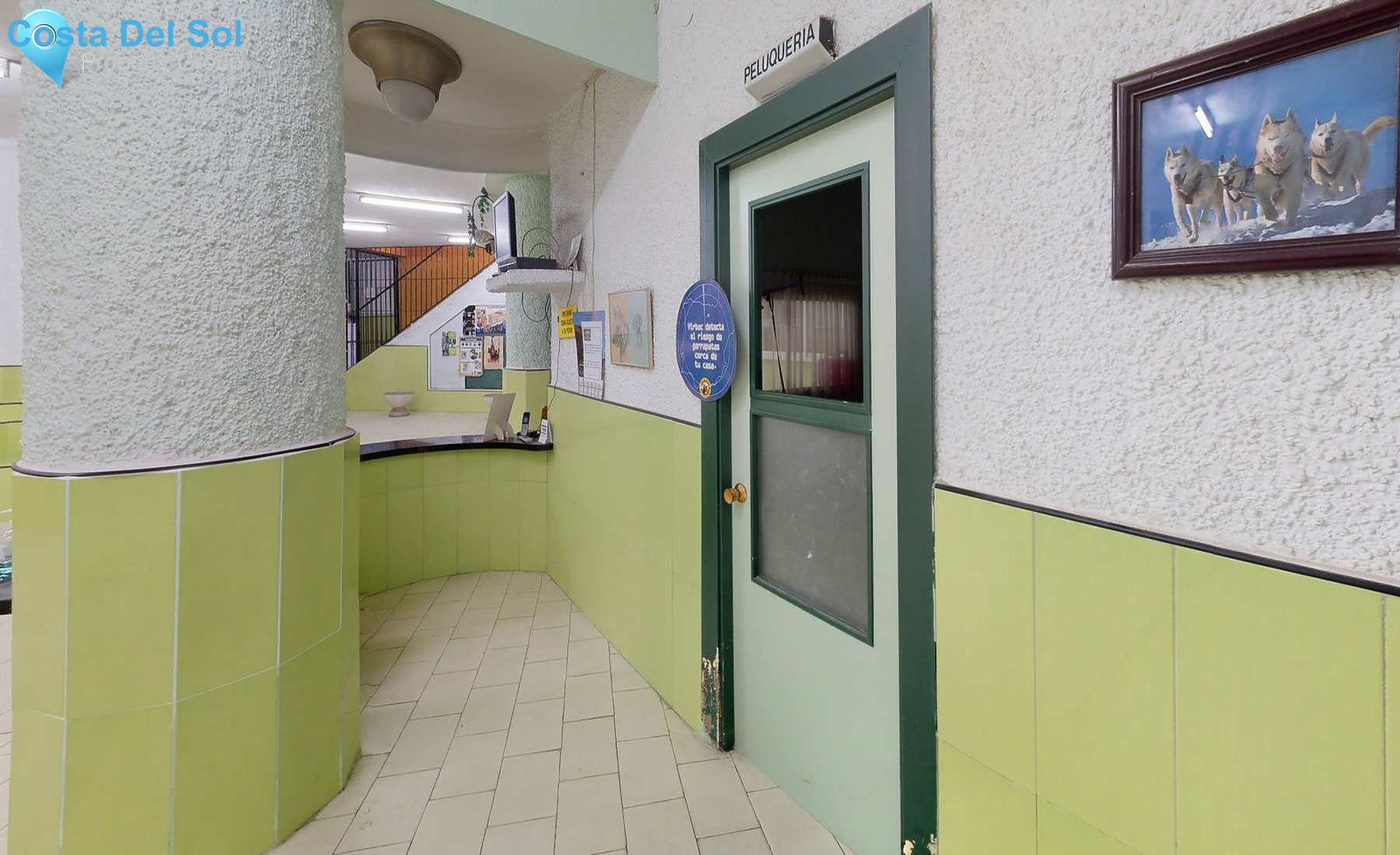 Night Club in Torremolinos Centro-1445728