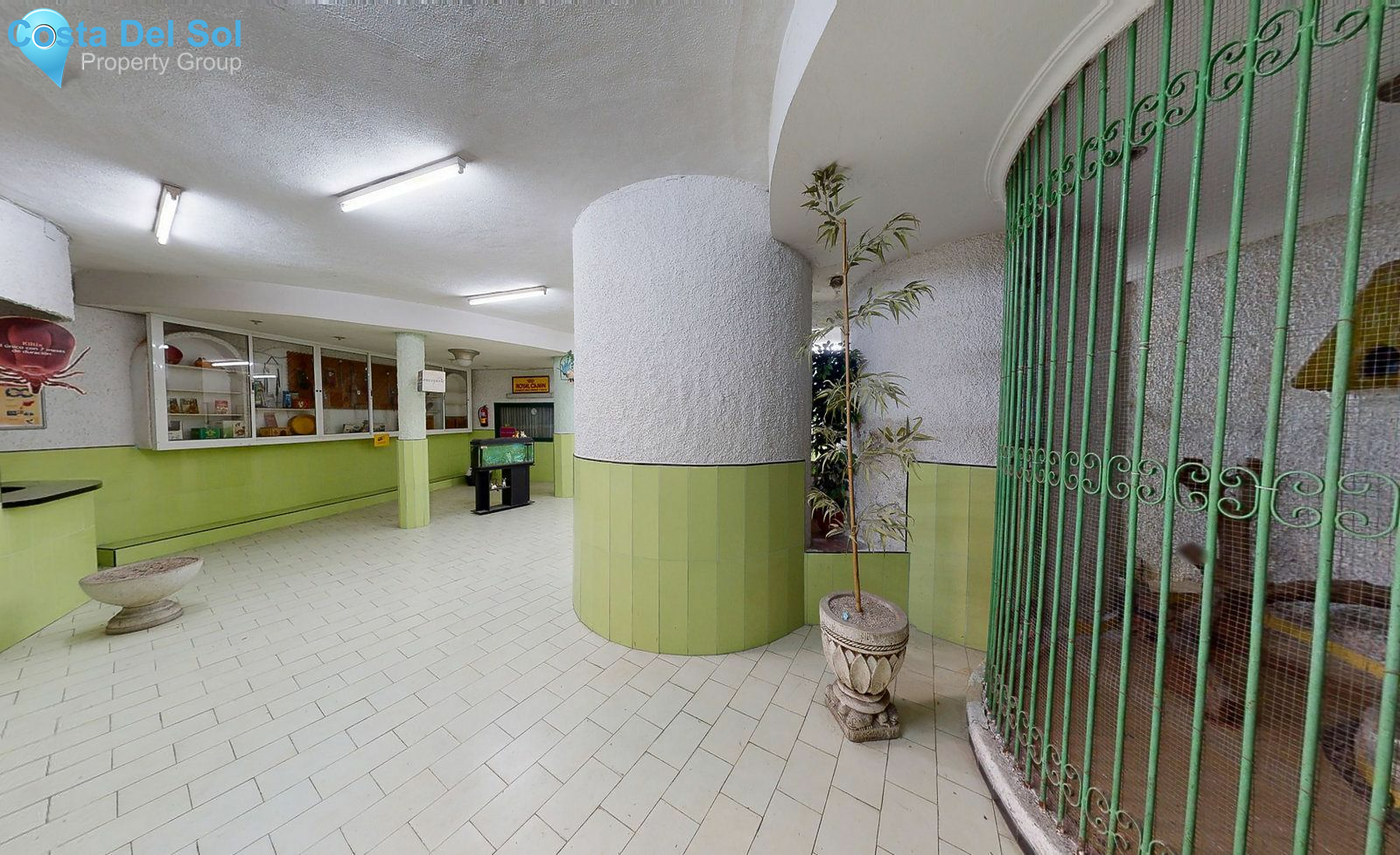 Night Club in Torremolinos Centro-1445732