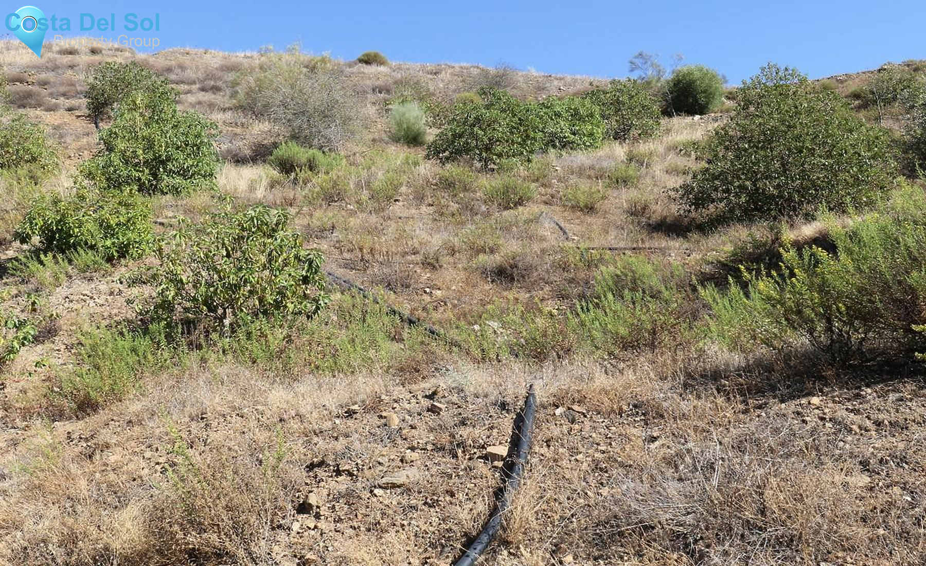 Plot in Alora-1354398