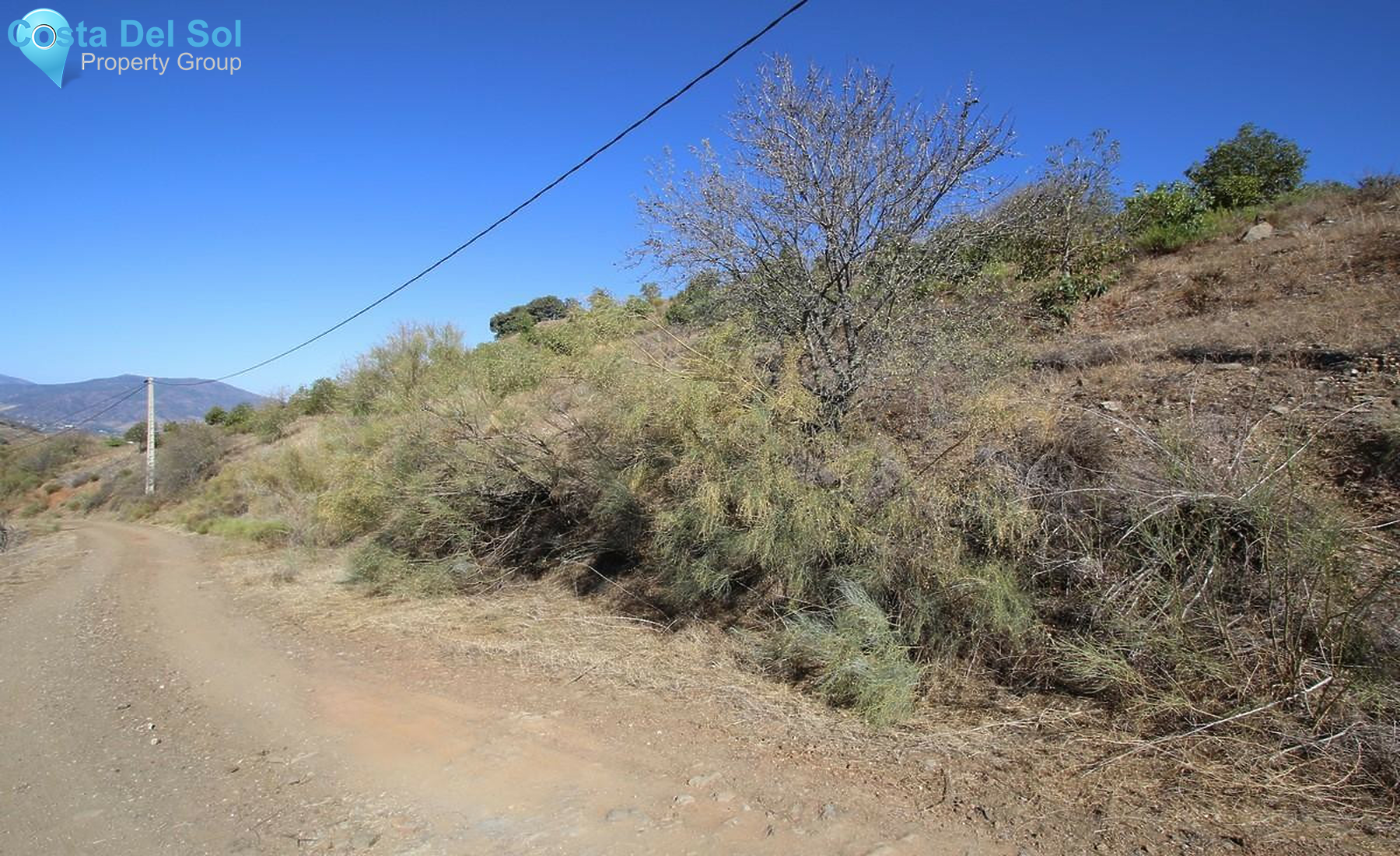 Plot in Alora-1354391