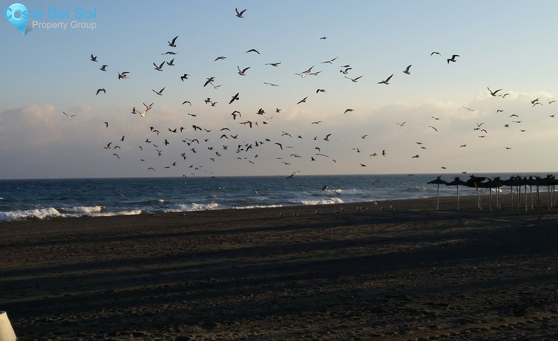 Plot in Los Monteros-1559899