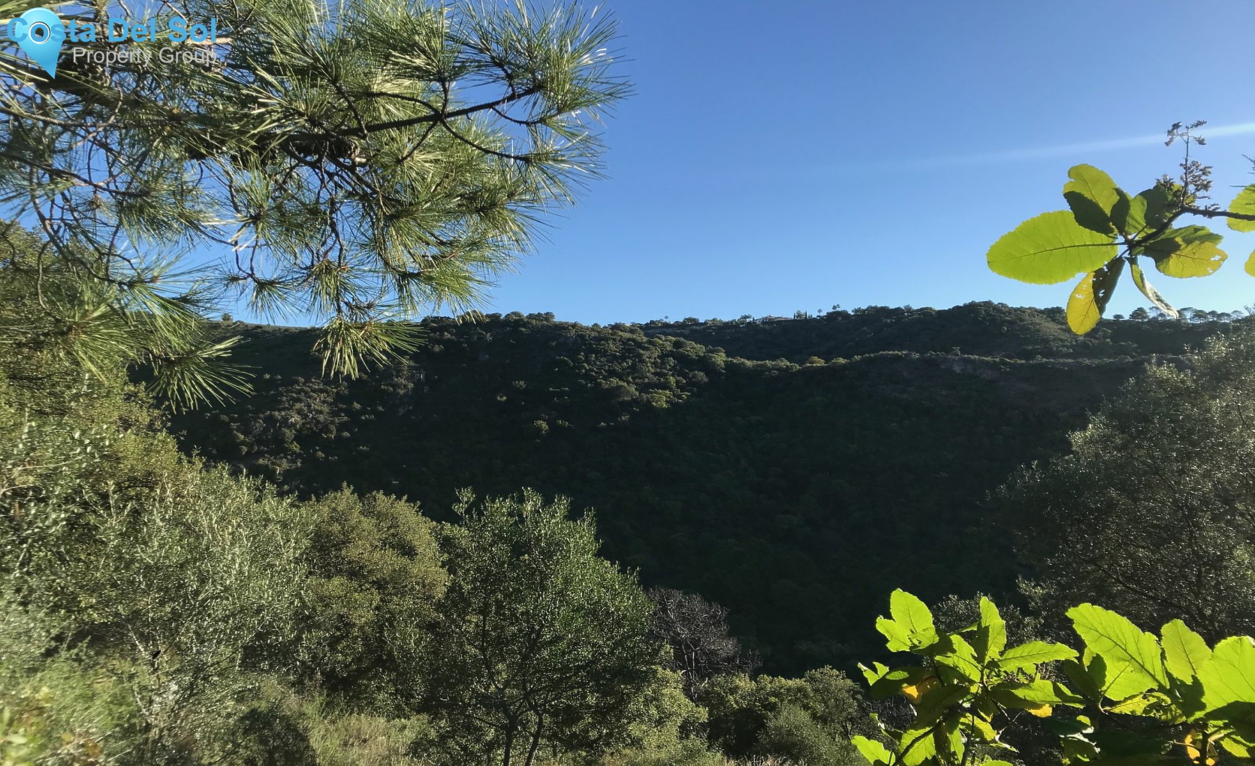 Residential Plot in Benahavís-1131270