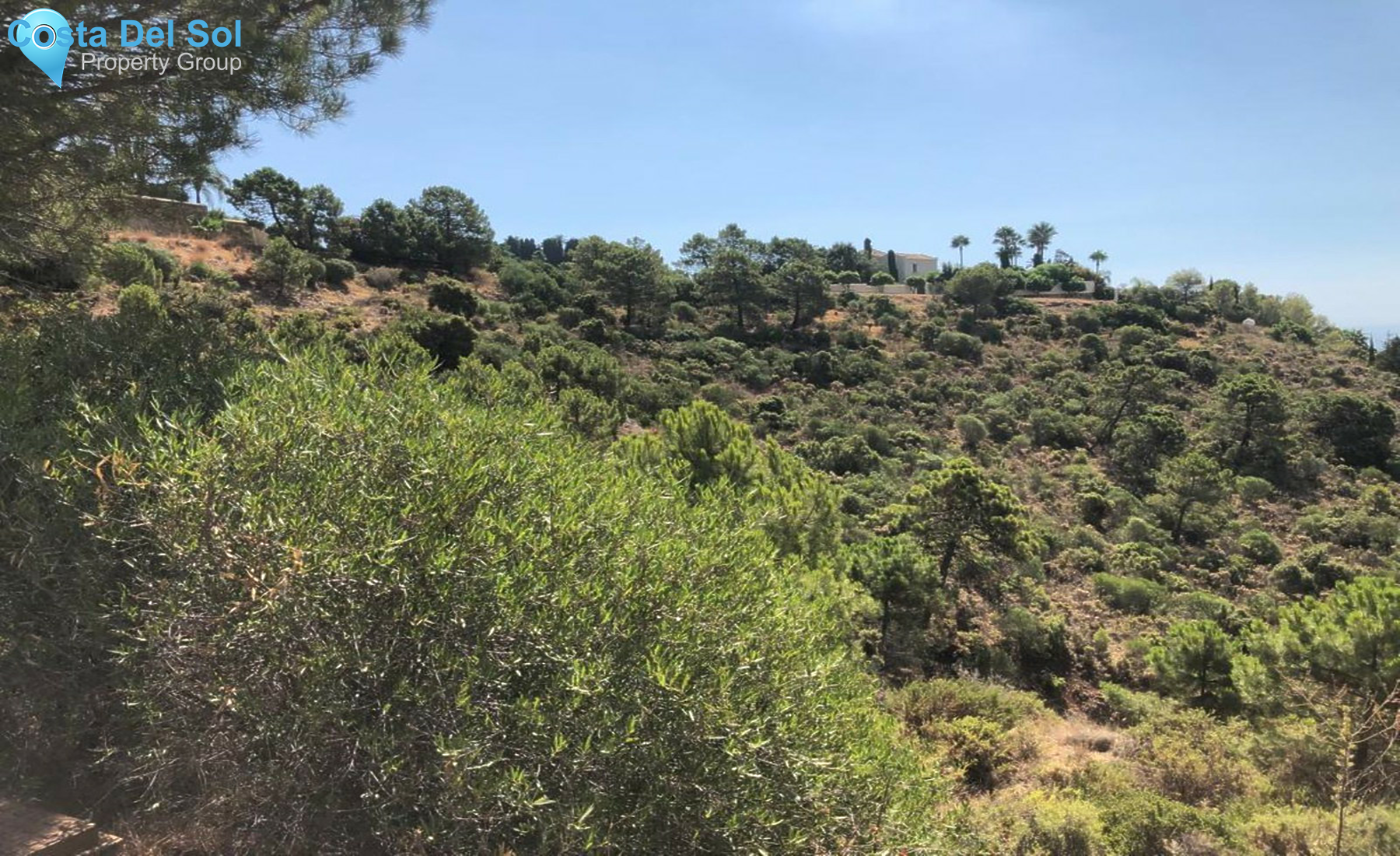 Residential Plot in El Madroñal-1462613