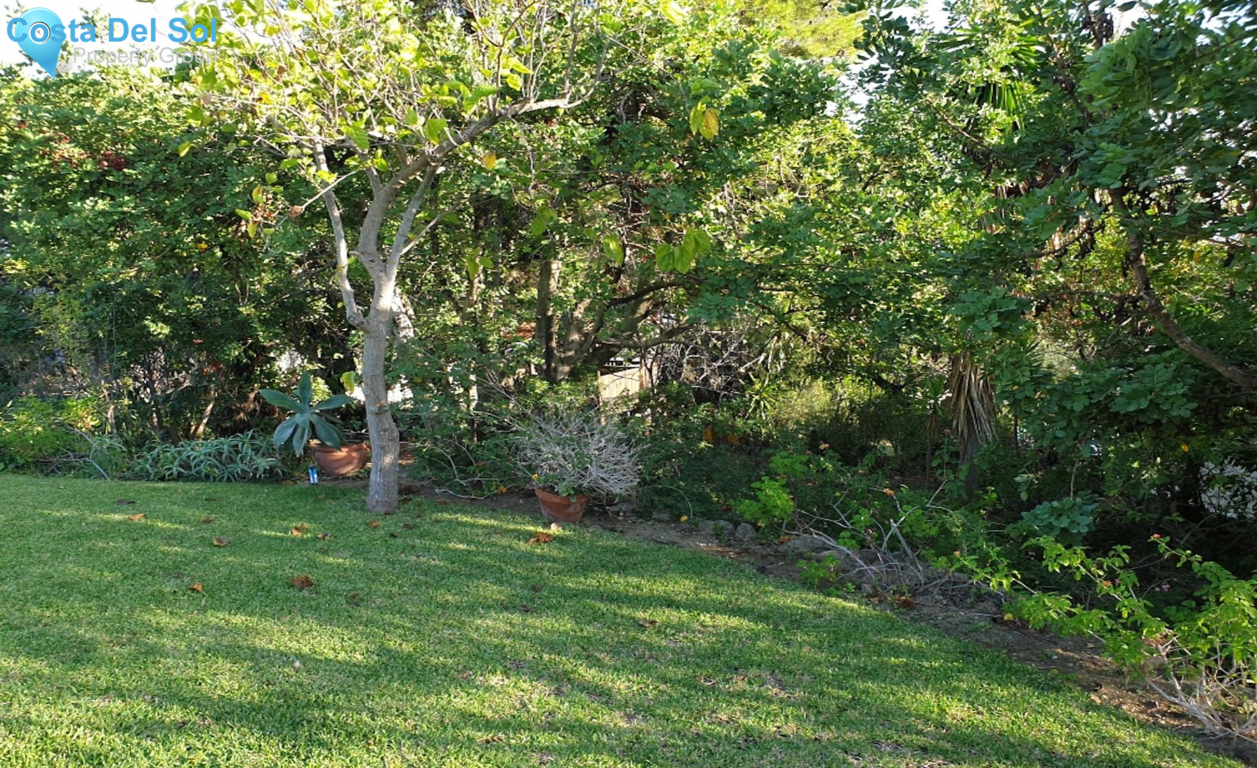 Residential Plot in El Rosario-1552178