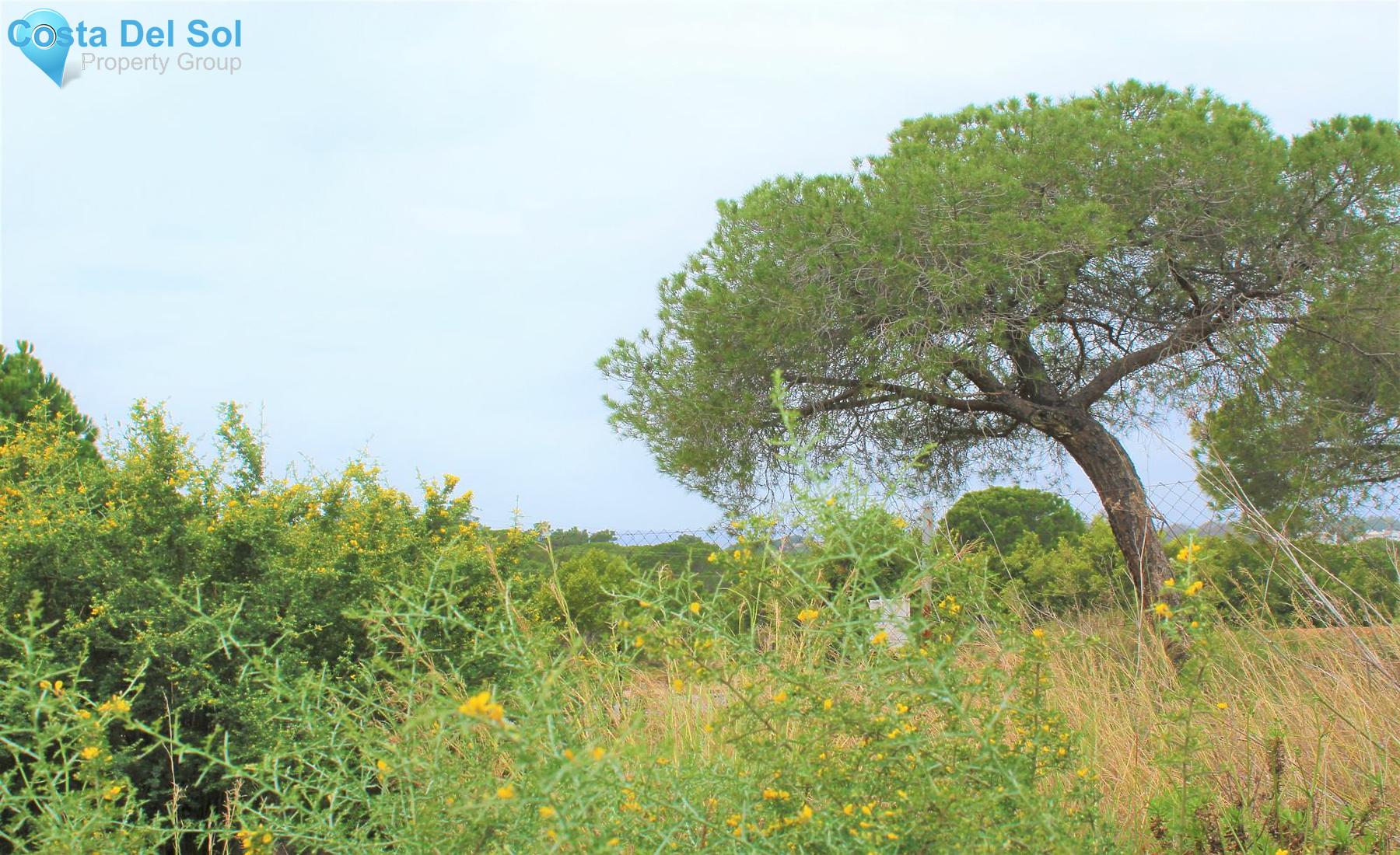 Residential Plot in Elviria-1224469