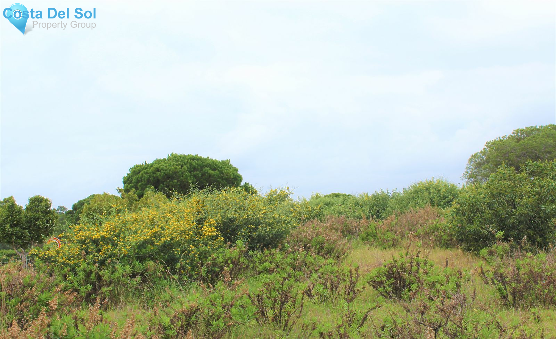 Residential Plot in Elviria-1224471