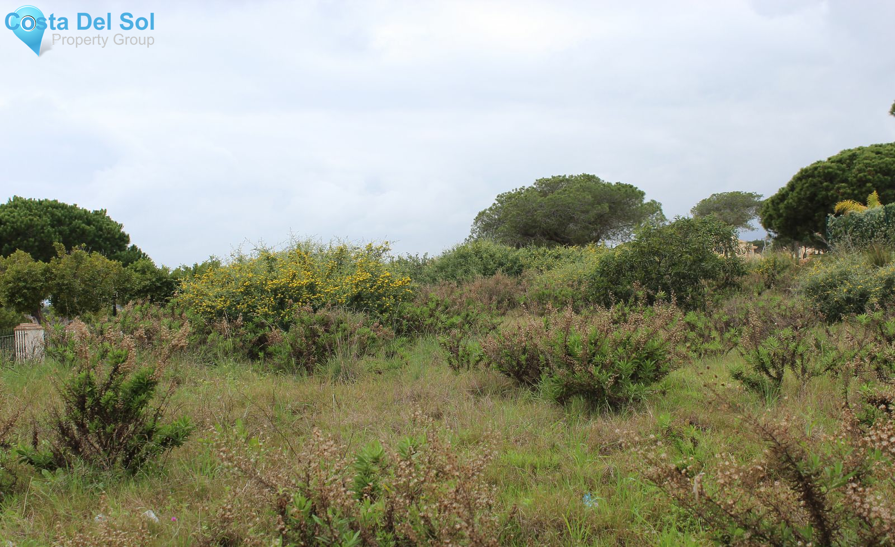 Residential Plot in Elviria-1224473