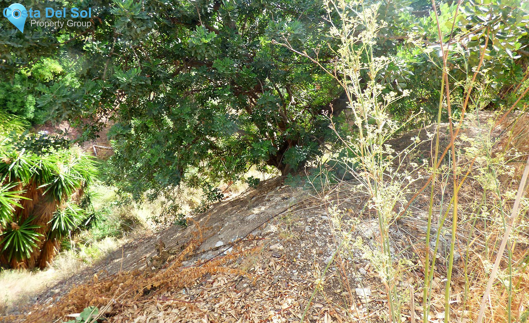 Residential Plot in Fuengirola-1468239