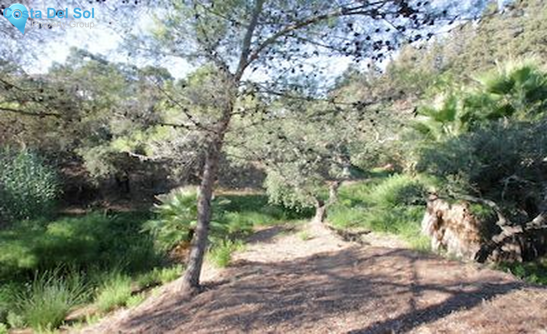 Residential Plot in Hacienda Las Chapas-1445861