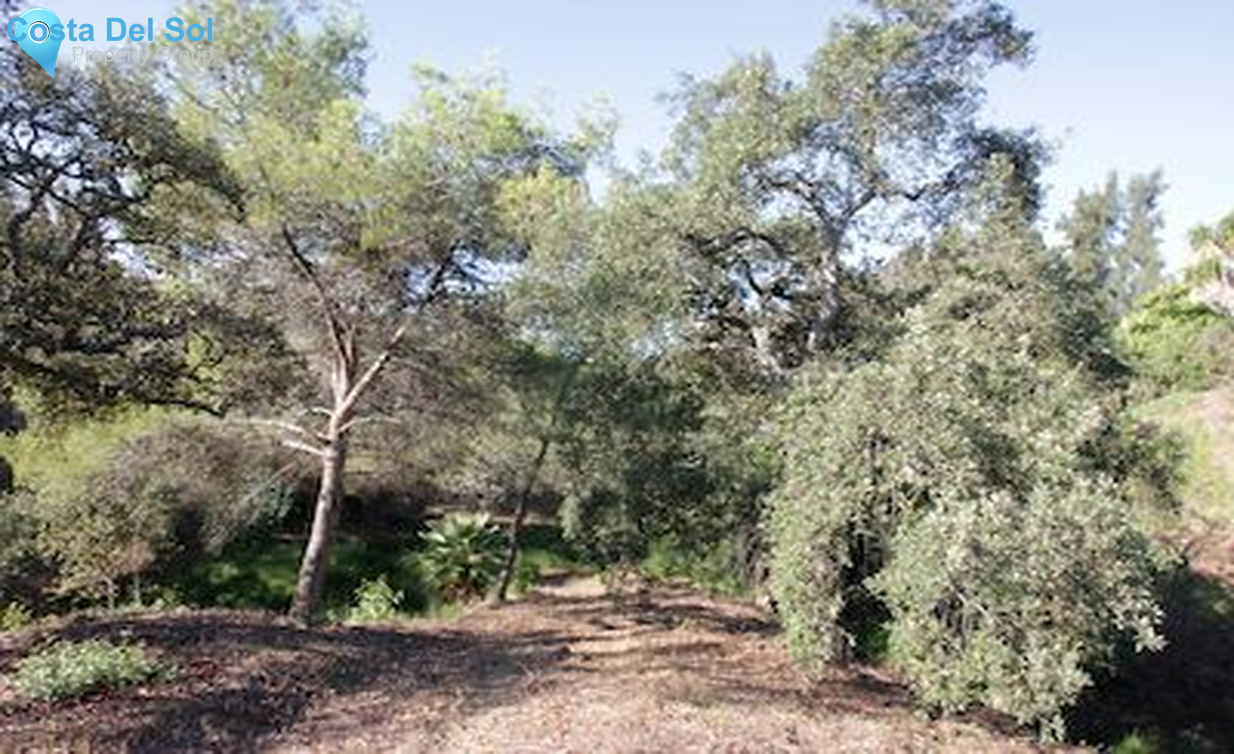 Residential Plot in Hacienda Las Chapas-1445862