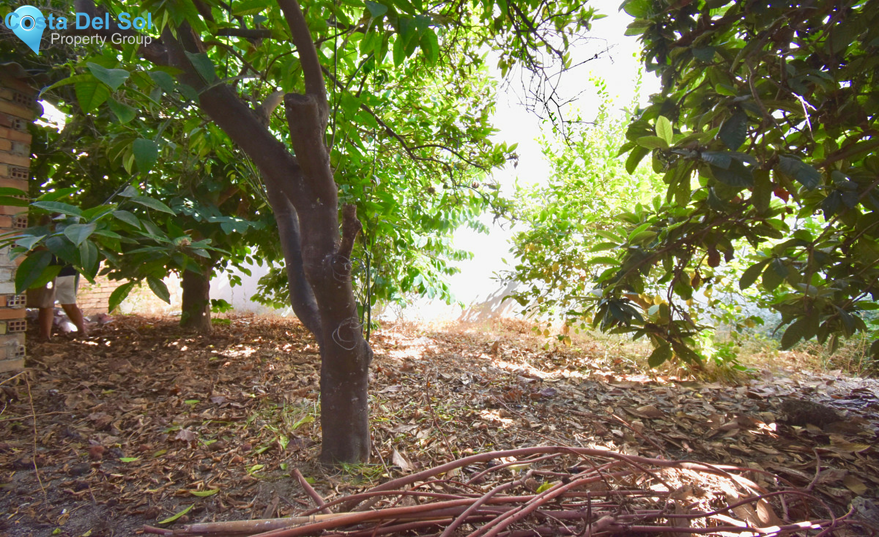 Residential Plot in Mijas-1553043