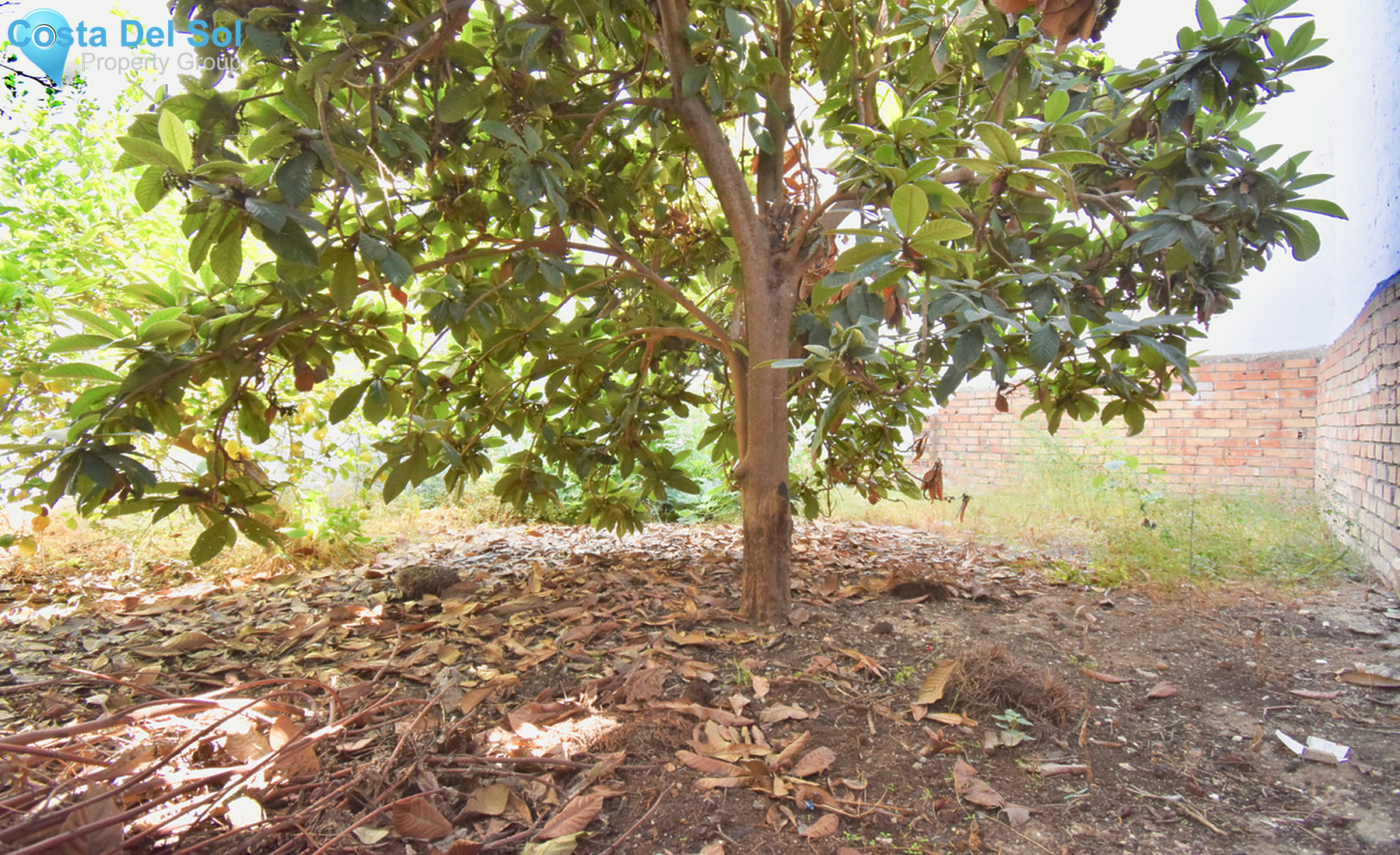 Residential Plot in Mijas-1553046