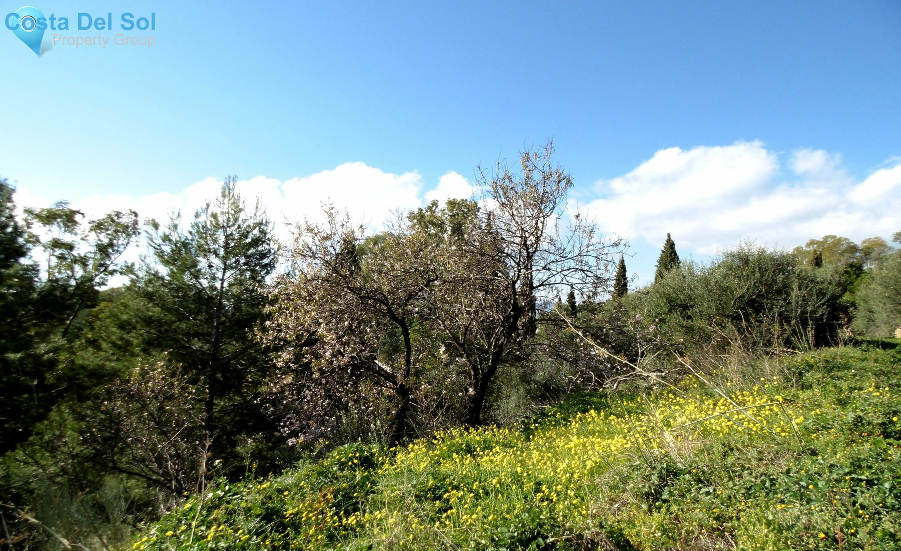 Residential Plot in Mijas-1521246