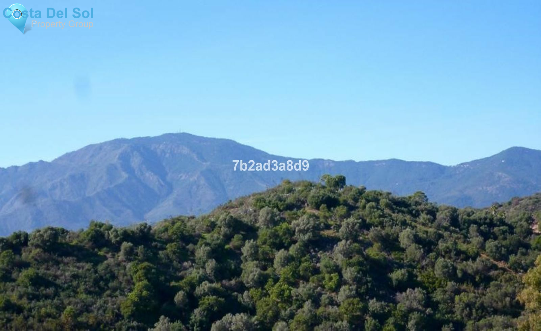 Residential Plot in New Golden Mile-1544701