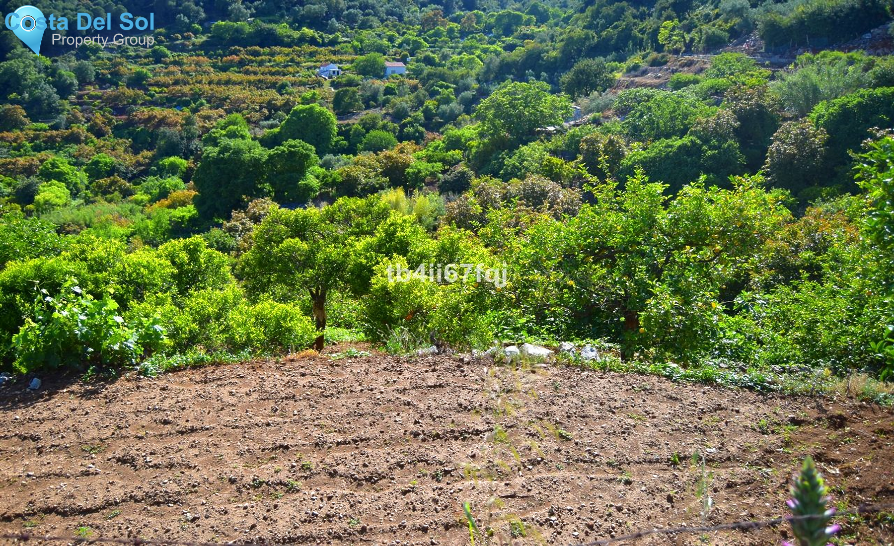 Residential Plot in Ojén-1221971