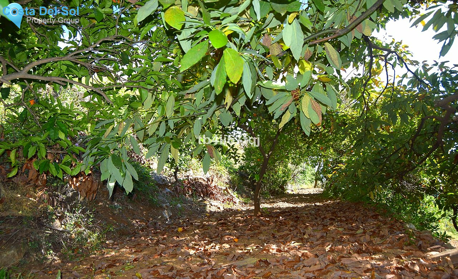 Residential Plot in Ojén-1221972