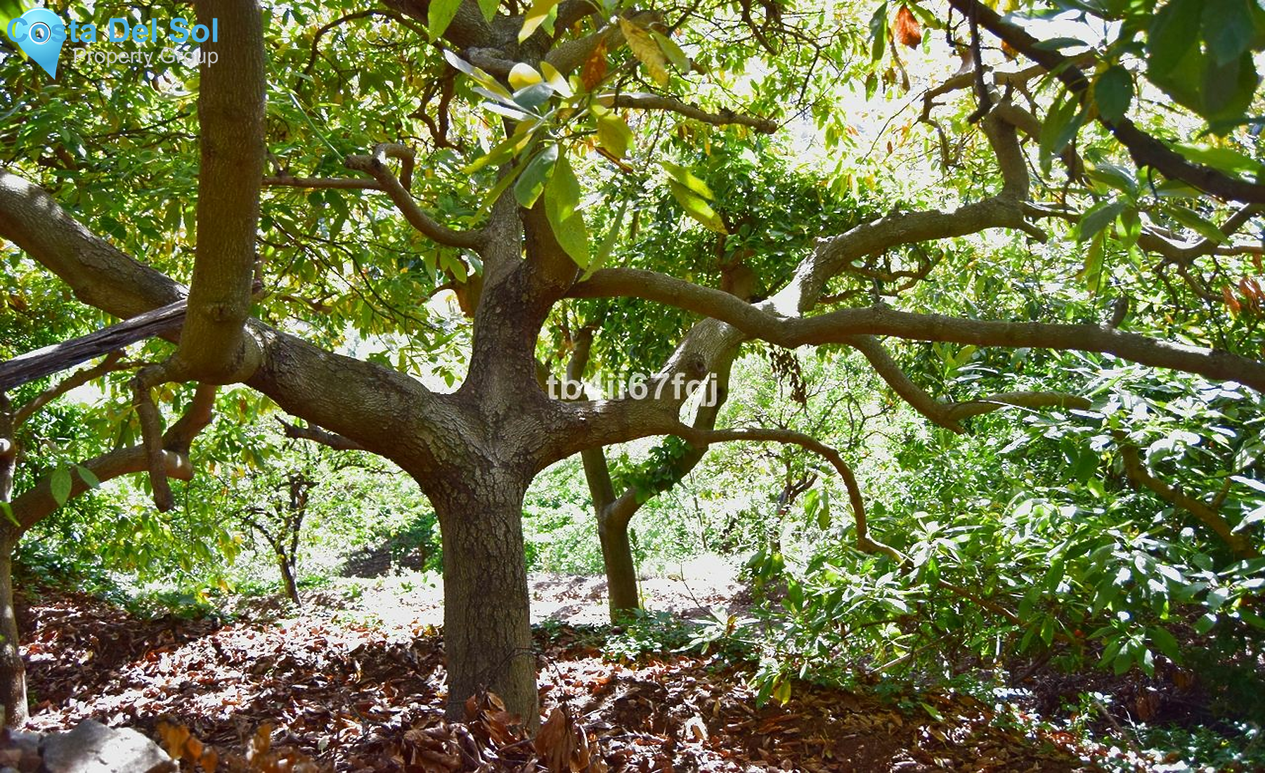 Residential Plot in Ojén-1221973