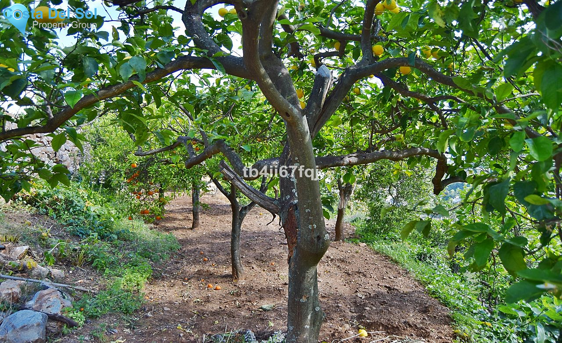 Residential Plot in Ojén-1221964
