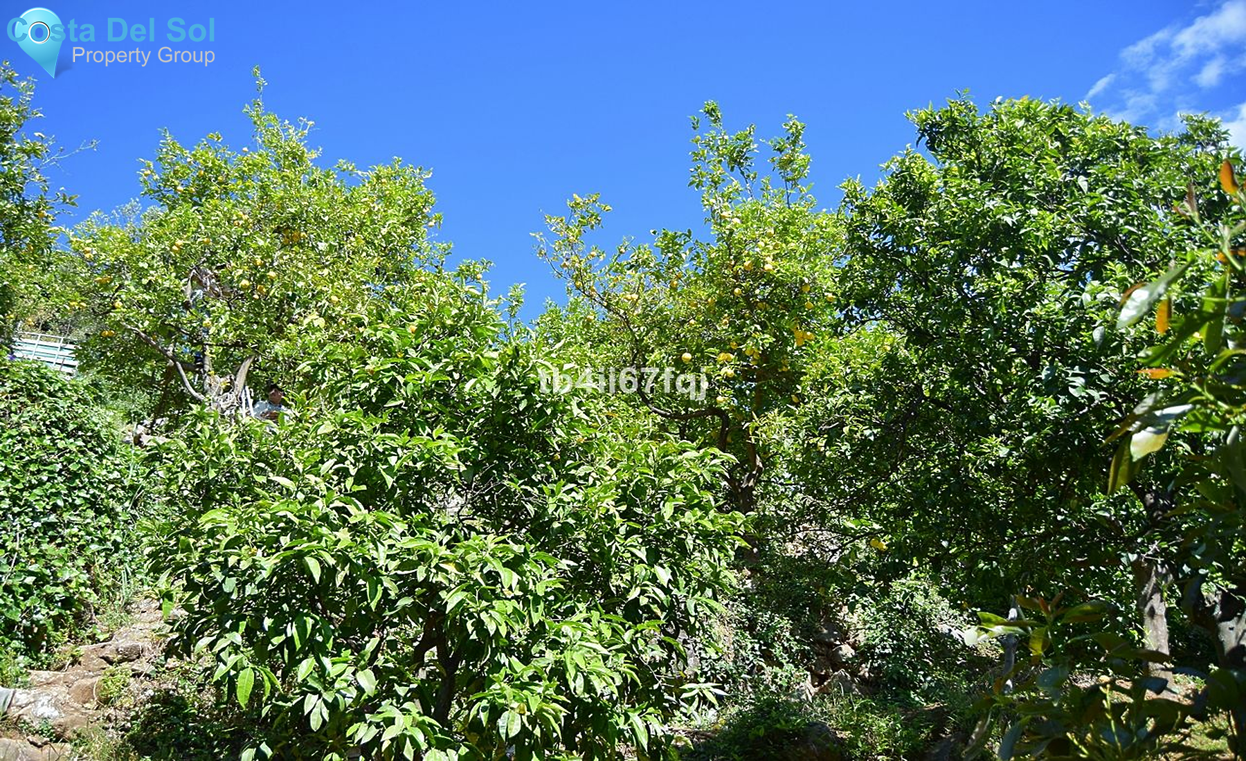 Residential Plot in Ojén-1221967