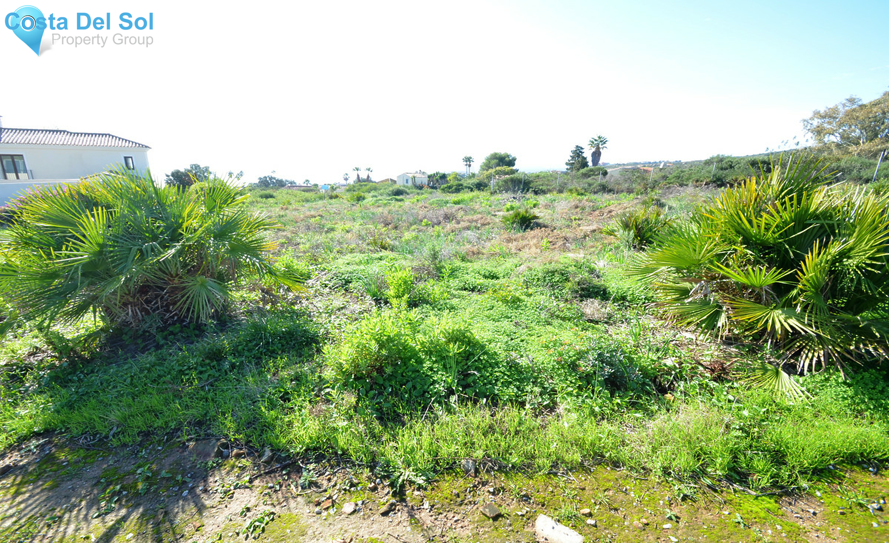 Residential Plot in San Roque-1355409