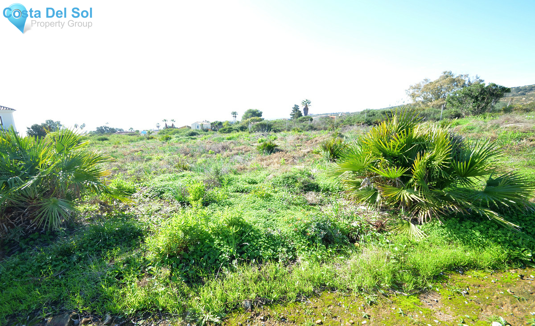 Residential Plot in San Roque-1355412