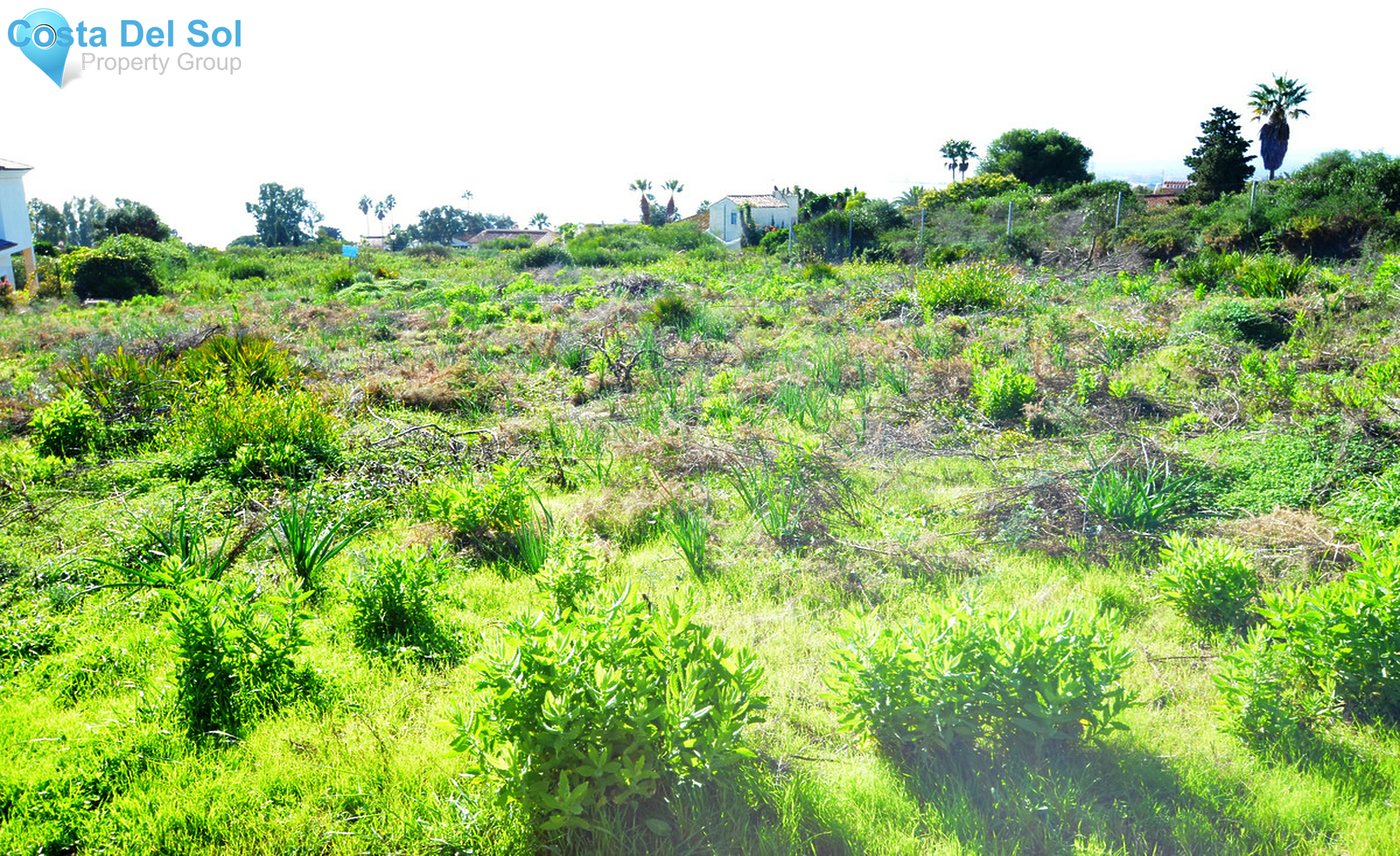 Residential Plot in San Roque-1355404