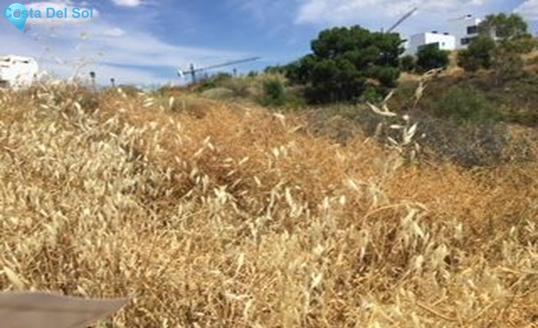 Residential Plot in Selwo-1400354