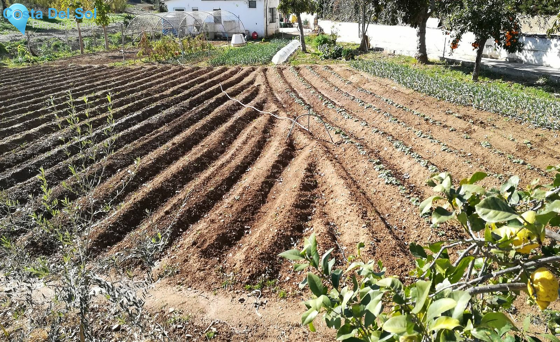 Residential Plot in Sierrezuela-1521469